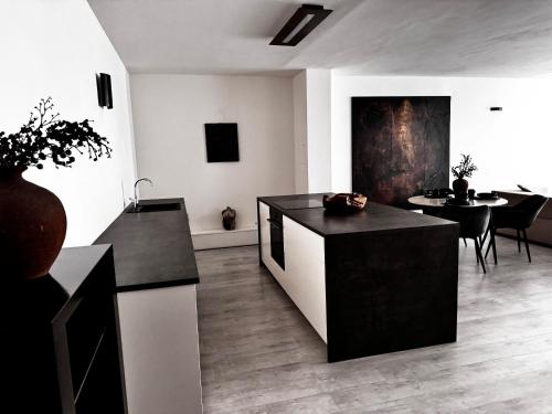 Η κουζίνα ή μικρή κουζίνα στο Moderný apartmán 156 m2 v blízkosti Bratislavského hradu