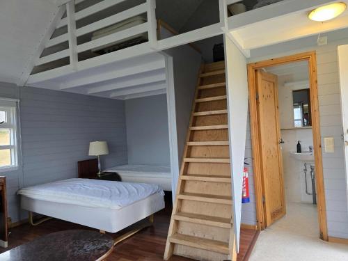 a bedroom with a bunk bed and a ladder at Dæli Apartments in Víðidalstunga