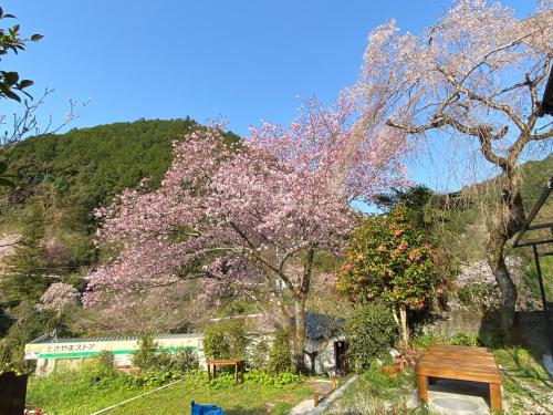 a tree with pink flowers on it next to a bench at Sakura House サクラハウス 高知駅から車で20分-豊かな自然を味わう山の隠れ家 in Kochi
