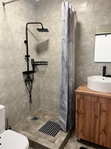 a bathroom with a shower with a toilet and a sink at FishKa in Cholpon-Ata