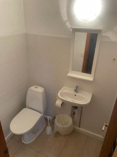 Ένα μπάνιο στο Beautiful single home in Höfn