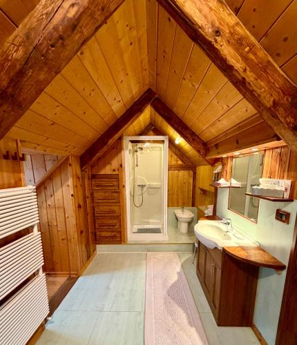 a bathroom with a shower and a sink and a toilet at AGRITURISMO FARE BIO in Tarvisio