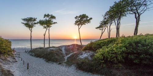 a sunset on the beach with palm trees at Ferienwohnung DEICHBLICK 200m zum Strand Zingst Darß in Zingst