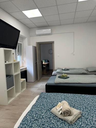 Postel nebo postele na pokoji v ubytování Apartma Center Ljutomer