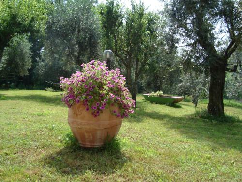 Gallery image of il Fienile di Penelope in Marliana