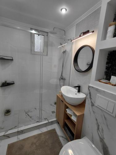 a bathroom with a shower and a sink and a toilet at La Monica - Straja - Lupeni - Retezat - Parang in Lupeni