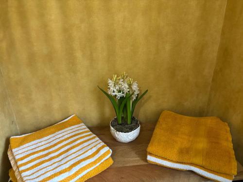 Φωτογραφία από το άλμπουμ του Fécamp, Etretat, Yport, joli appartement tout près de la plage et de la gare, vous pouvez me contacter sur Les gîtes de SoleilMapou σε Fécamp