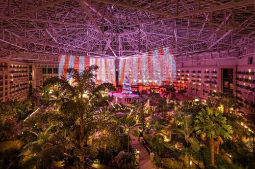 Gaylord Palms Resort & Convention Center photo 75