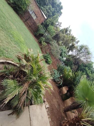 an overhead view of a garden with palm trees and a building at Khaya Guest house in Rustenburg