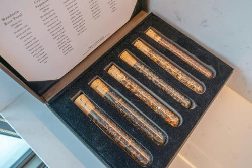 Fotografie z fotogalerie ubytování Tranquil Wellness Tower v Dubaji