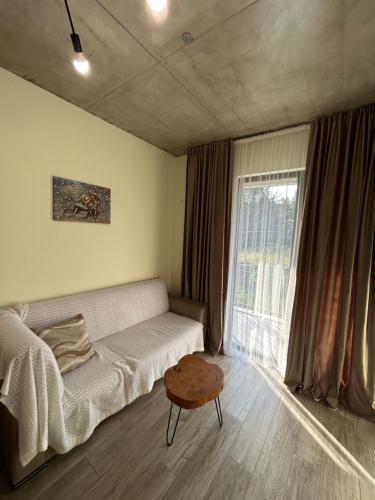 een woonkamer met een bank en een raam bij Eco Garden Kutaisi in Koetaisi
