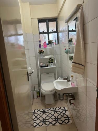 a small bathroom with a toilet and a sink at Eden Space Accommodations in Nairobi