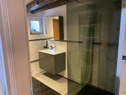 ヴェルニゲローデにあるExklusives Altstadthaus mit Schlossblick zentral in Wernigerodeの洗面台とシャワー付きのバスルーム