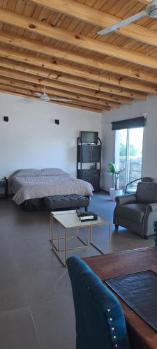 a bedroom with a bed and a couch and a table at Loft Moderno in Viedma