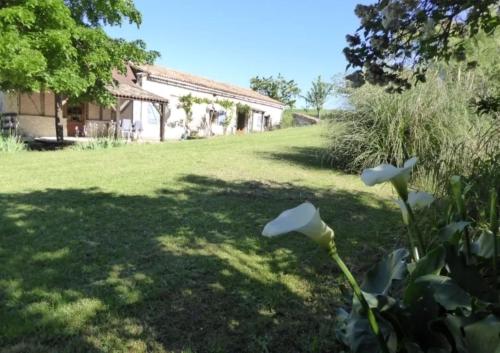 a garden with white flowers in the grass at Liguand Gites in Saint-Quentin-du-Dropt