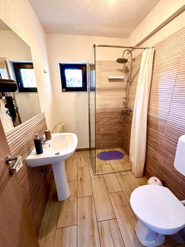 a bathroom with a sink and a shower and a toilet at Vila David 2 Comarnic in Comarnic