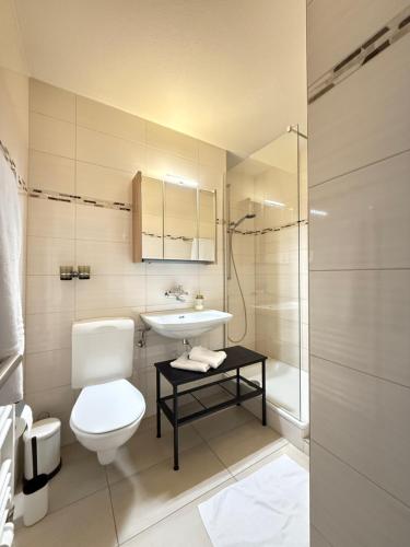 a bathroom with a toilet and a sink and a shower at HRE Apartments Lago Rorschach in Rorschach