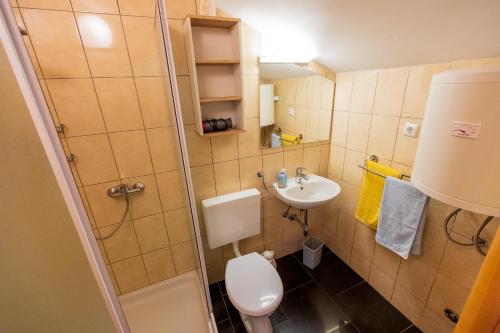 Un baño pequeño con inodoro y lavabo. en Apartmani-Finka, en Vodice