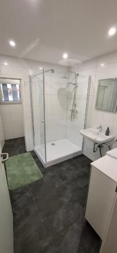 un bagno con doccia e lavandino di Ferienwohnung Langwasser a Norimberga