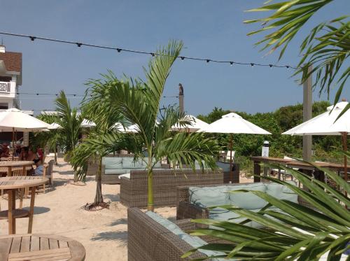 ICONA Avalon, Avalon – Updated 2023 Prices