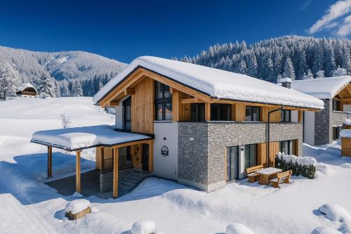 a house in the snow with snow covered at Almchalet Alpenglück in Sankt Lambrecht
