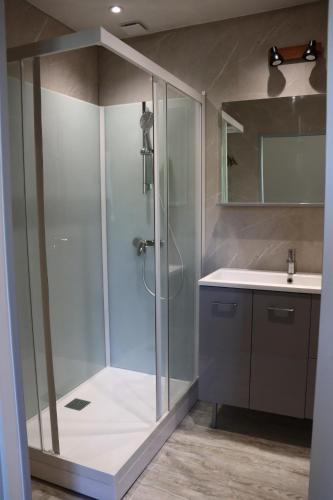a bathroom with a shower and a sink at Maison Garde Barriere in Canilhac