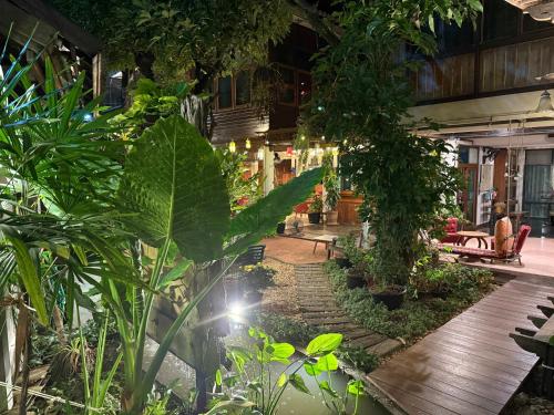 a garden with trees and plants in a building at Khom Chiang Mai in Chiang Mai