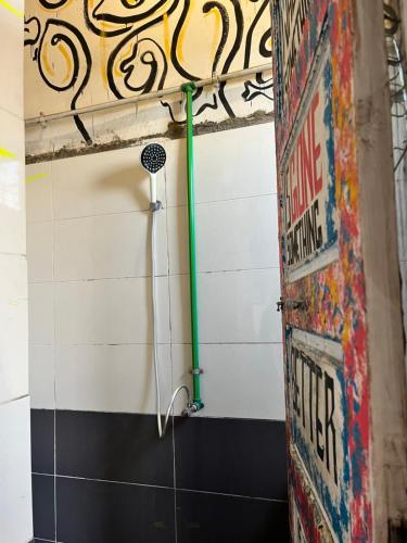 a shower with a green hose in a room at Peacock guest house in Aswan