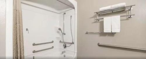 uma casa de banho com um chuveiro e uma cortina de chuveiro em Park Inn by Radisson em Grand Island