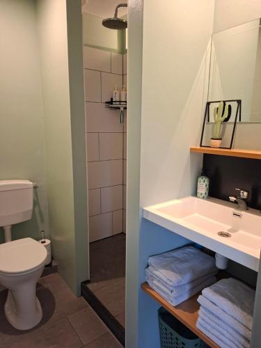 a bathroom with a sink and a toilet at Sfeervolle 2 persoons studio in Bakkeveen in Bakkeveen