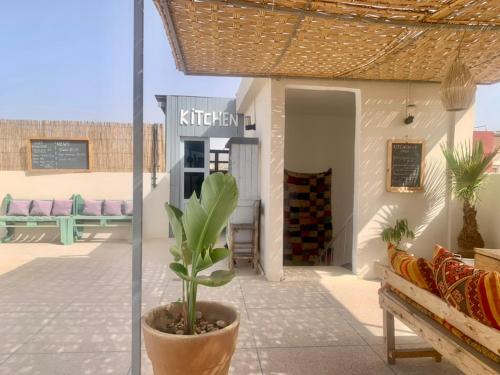 Una planta en una maceta en un patio. en Ocean Surf House, en Tamraght Ouzdar