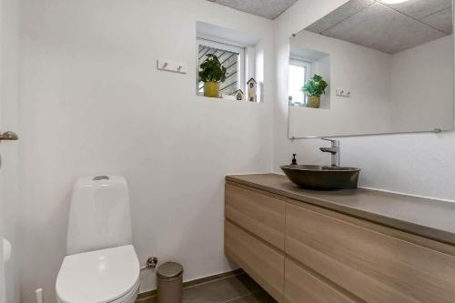 een badkamer met wastafel en toilet bij C11690-Hemmet-Lukkebjerg-7 in Falen