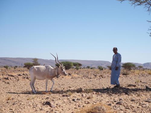 Tiere in der Ferienwohnung oder in der Nähe