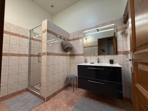 a bathroom with a sink and a shower at Agueramonde in Mouguerre