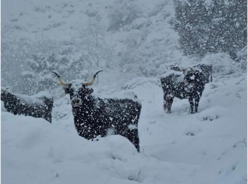 Casa La Ribera im Winter