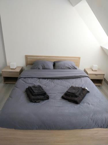 Un dormitorio con una cama con dos toallas encima. en Duplex chic et pratique, en Nogent-sur-Seine