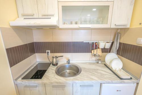 a small kitchen with a sink and a counter at Amber Apartman in Banja Koviljača