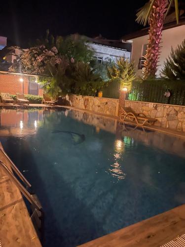 een zwembad met een haai in het water 's nachts bij Turunç Barbaros Apart in Marmaris