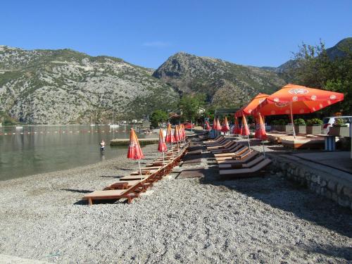 Gallery image of Apartments Villa Illyrik in Risan