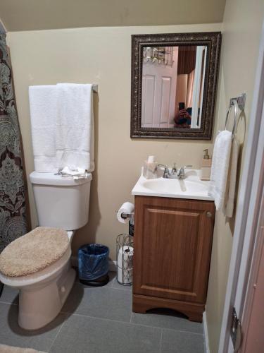 Un baño con inodoro, lavabo y espejo. en The Cardinal Room, en Raleigh