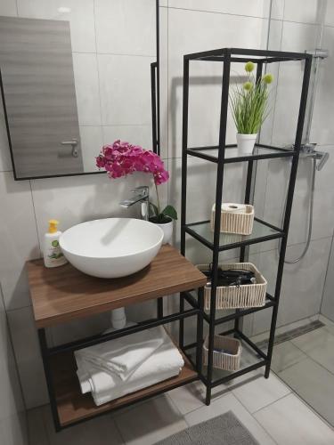 a bathroom with a counter with a sink and a shelf at Apartman Lasko in Razvala