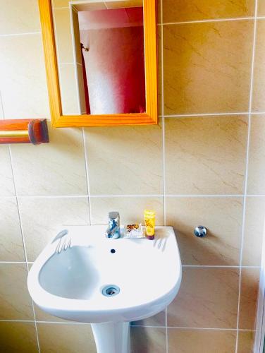 een badkamer met een witte wastafel en een spiegel bij SUNFLOWER bed and breakfast in Ladysmith