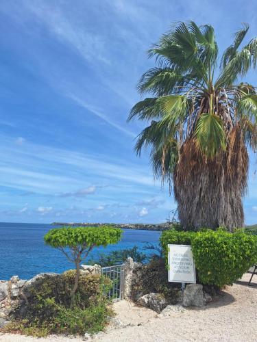 Φυσικό τοπίο κοντά σε αυτό το διαμέρισμα