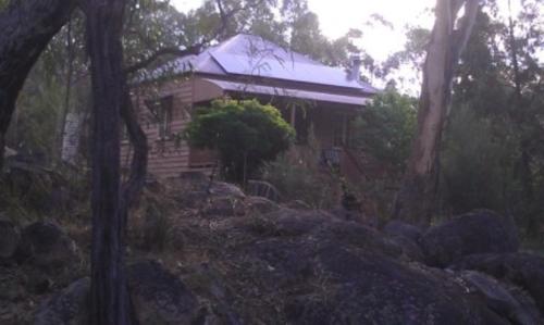 a log cabin in the woods with a tree at Cypress Ridge Cottages in Ballandean