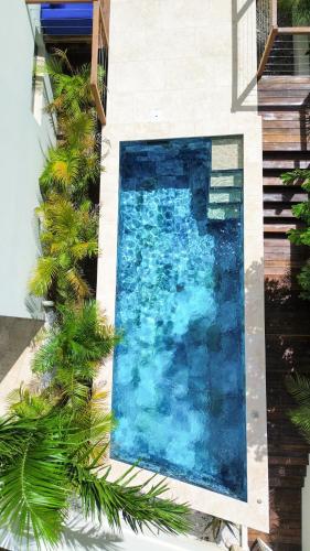 a swimming pool on the side of a building with palm trees at SEA NOVA Friar's Bay Beachfront Properties in Saint Martin