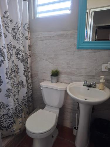 a bathroom with a toilet and a sink at Hacienda El Palmar A in Vega Baja
