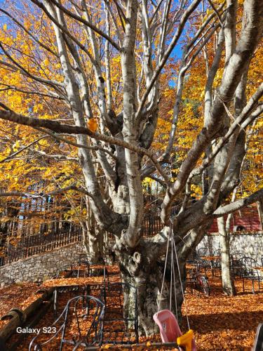 Fotografie z fotogalerie ubytování Razem Lendina e Qete v destinaci Razëm