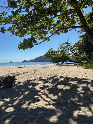 Naturlandskabet i nærheden af feriehuset
