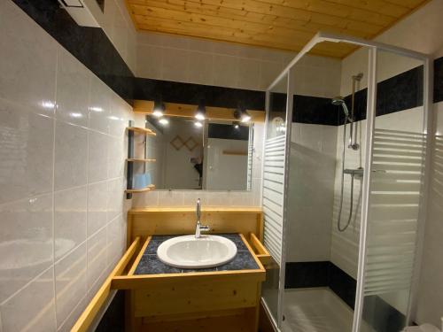 a bathroom with a sink and a shower at Appartement 2P Mezzanine, 2 SDB, 6-7 couchages aux Saisies - FR-1-293-75 in Les Saisies