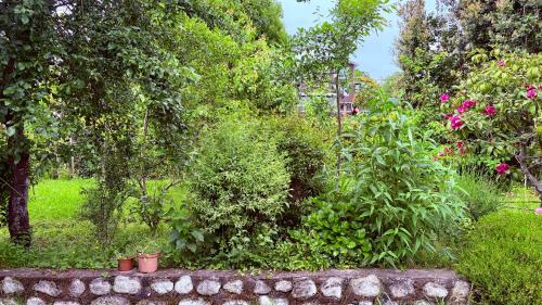 Jardín al aire libre en Cabañas Casona Italiana